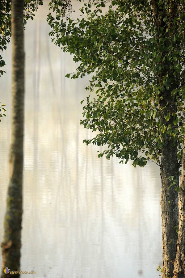 Nom de l'image : D30082686_1_(c)Norbert-JUNG — Description :